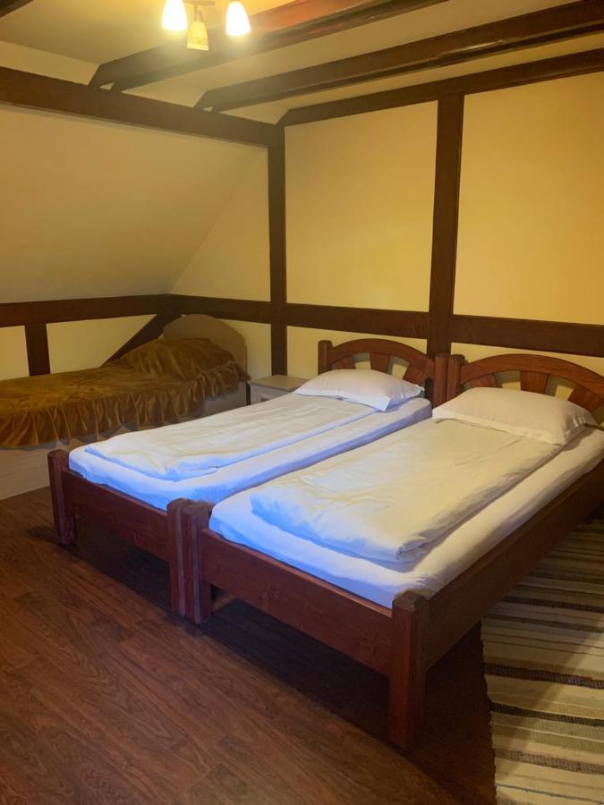 ホテル Casa Lenke Săcele エクステリア 写真